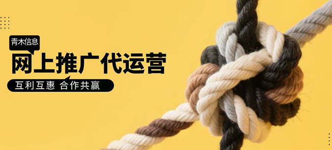 苏州网站建设公司